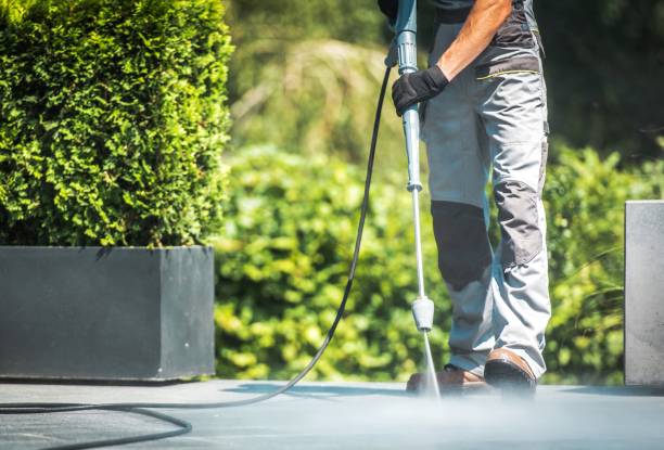 Best Sidewalk and Walkway Cleaning  in Catlin, IL