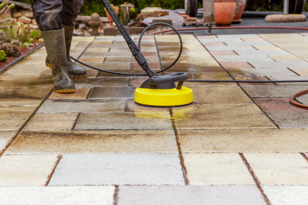 Best Rust Removal  in Catlin, IL
