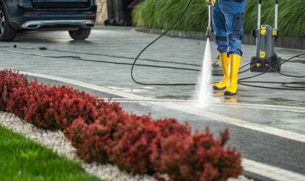 Best Driveway Pressure Washing  in Catlin, IL